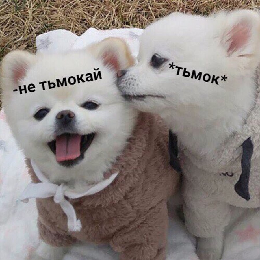 Картинки тьмок тебя