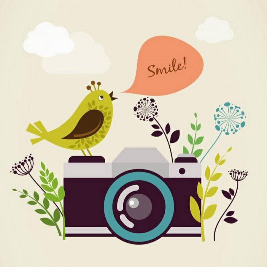 Фотоаппарат с птичкой