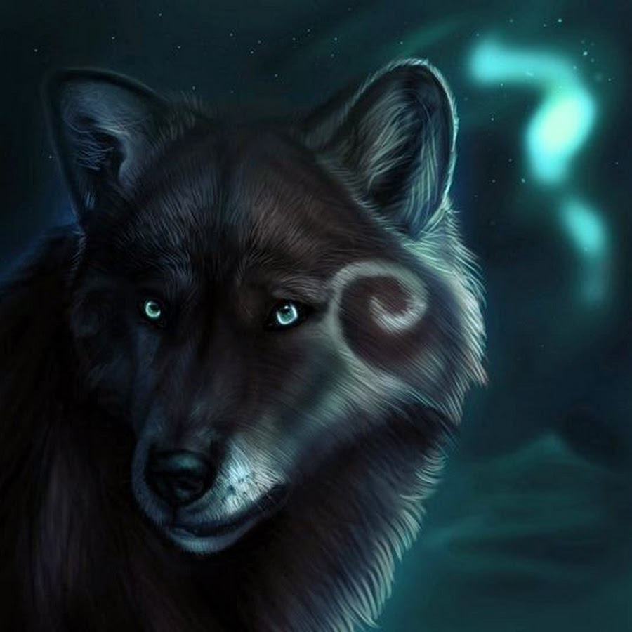 Черный волк с голубыми глазами