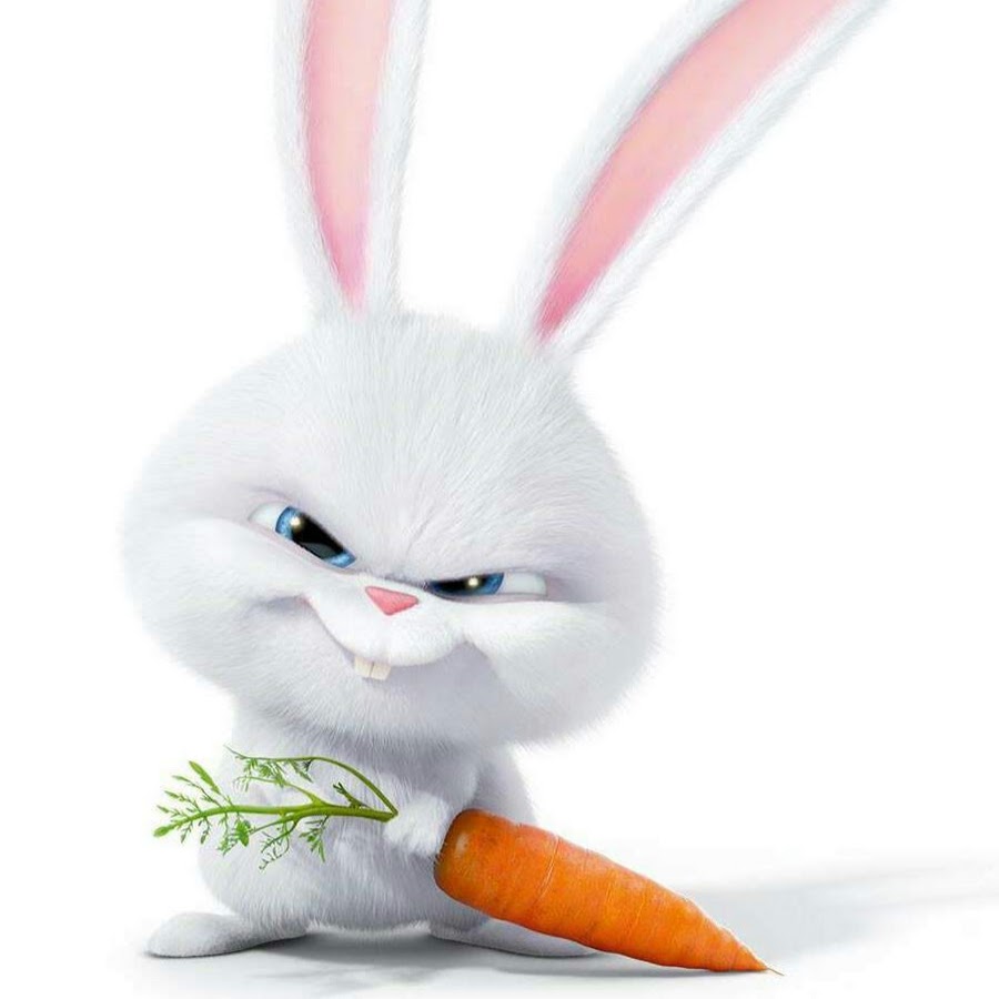 Кролик с морковкой из мультика Тайная жизнь домашних