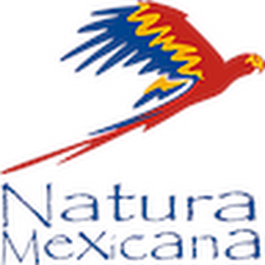 Top 96+ imagen natura mexicana