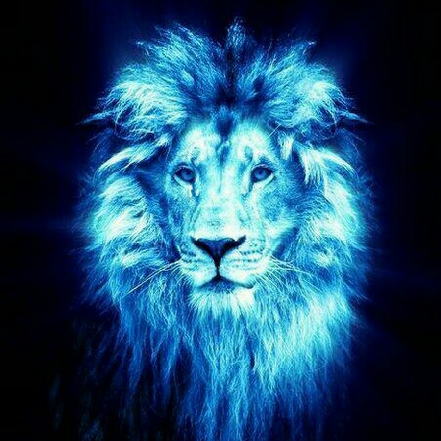Синий лев