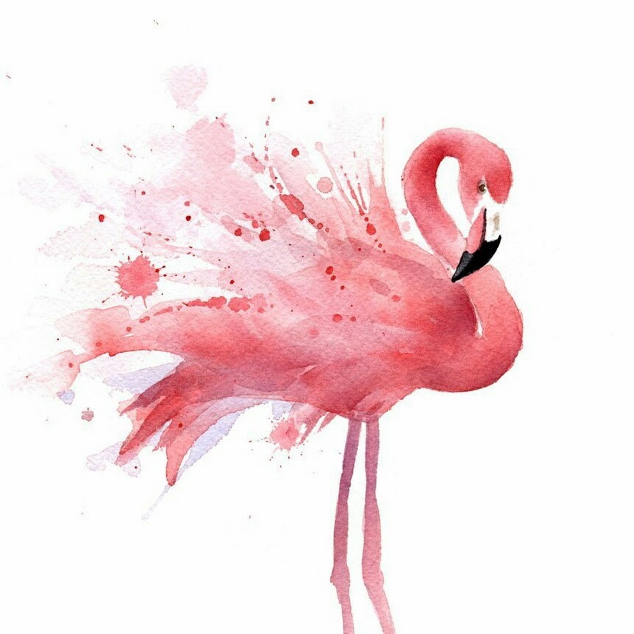 Фламинго рисунки профессионалов
