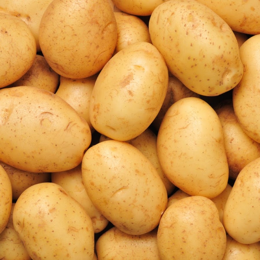 Семена картофеля суперэлита