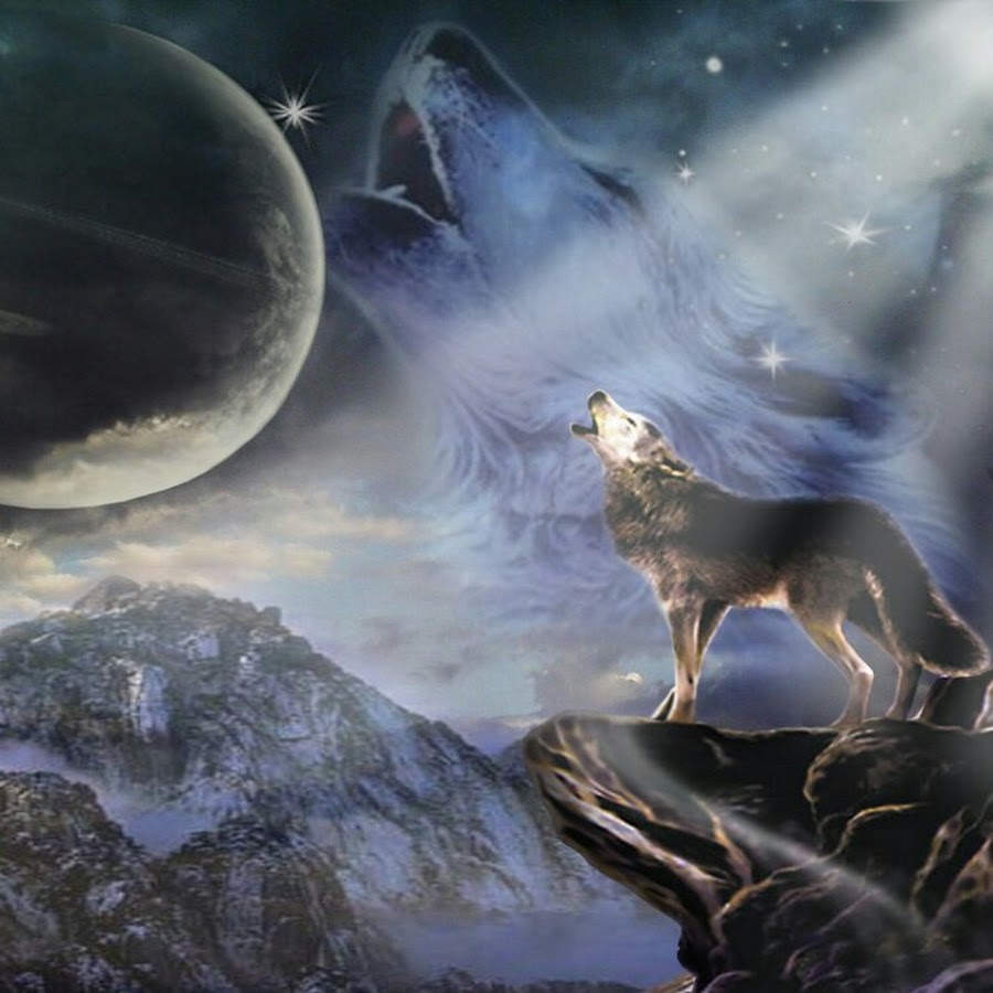 Вой ветра слушать. Волк и Луна. Лунные волки. Полнолуние волк. Волк воет на луну.