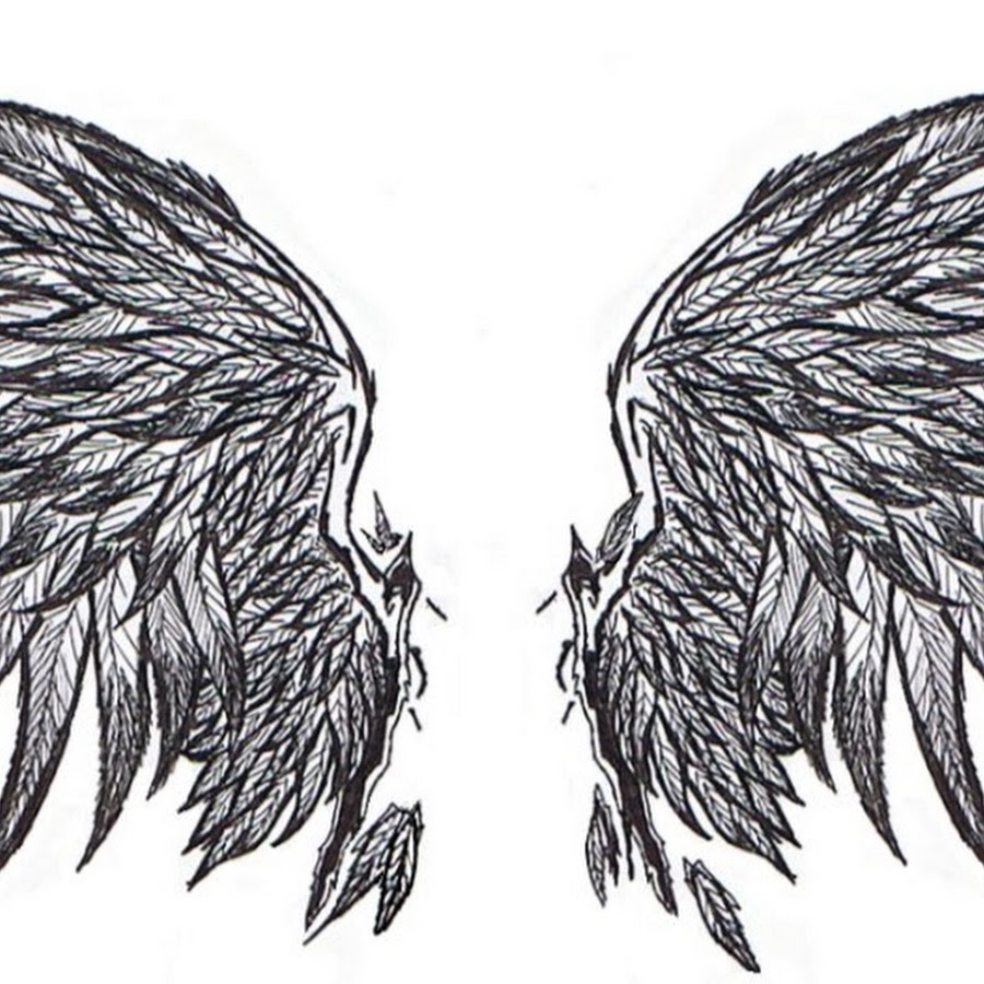 Символ два крыла. Тату Крылья. Эскизы татуировок Крылья. Крылья ангела тату эскиз. Тату Крылья ангела.