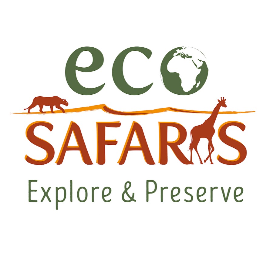 eco safaris brisbane