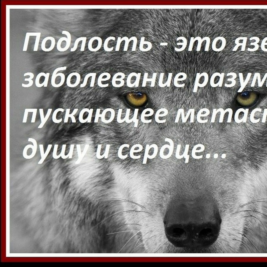 Подлый простыми словами. Статусы про подлых людей. Подлость цитаты. Подлость картинки. Подлые люди цитаты.