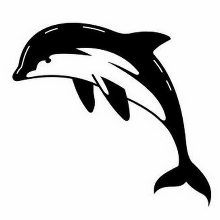 Дельфин черно белый