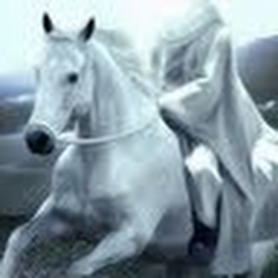Маг на белом коне