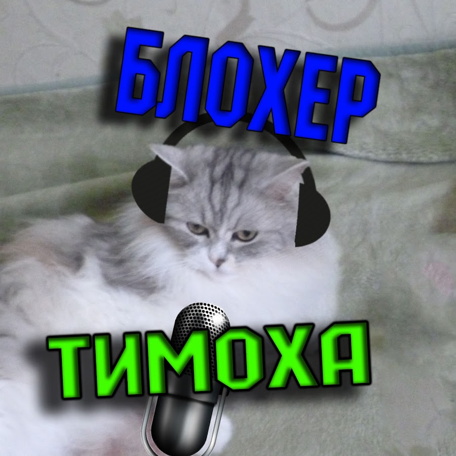 Тимоша полное имя. Блохер. Блохер Мем. Тимоха. Кот Тимоха.