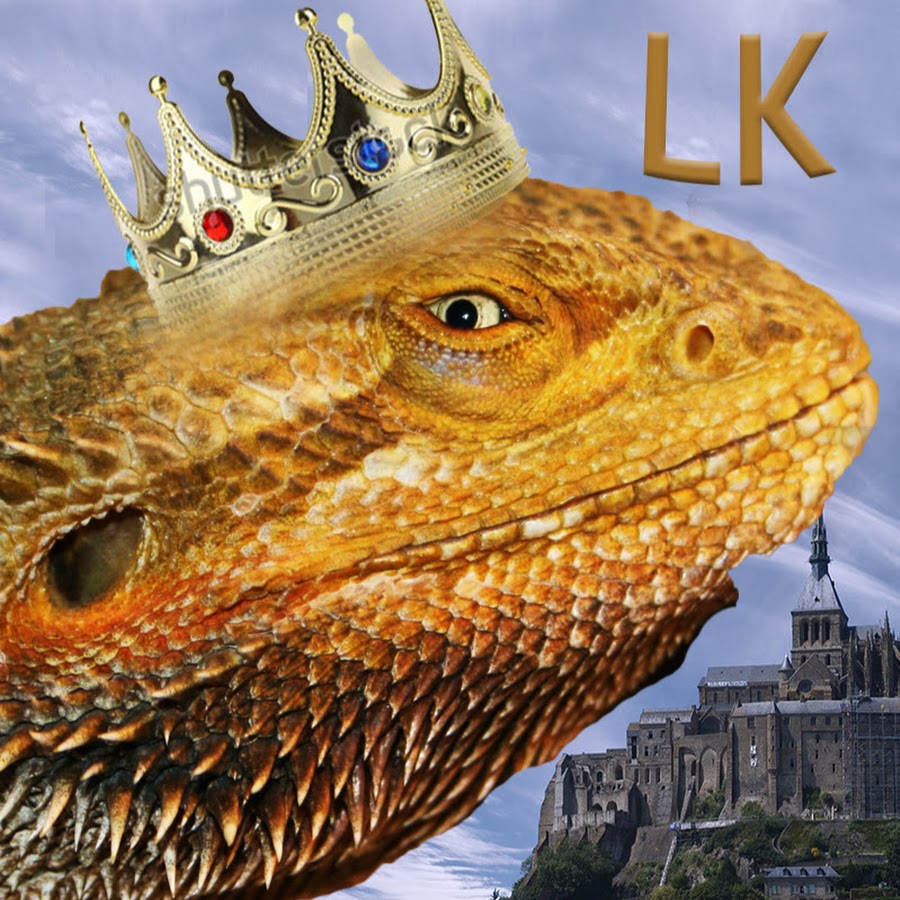 AGIKgqNfHkAtK72V_eZFCIdupTt8ujJR0cHUNd5HwE=s900ckc0x00ffffffnorj