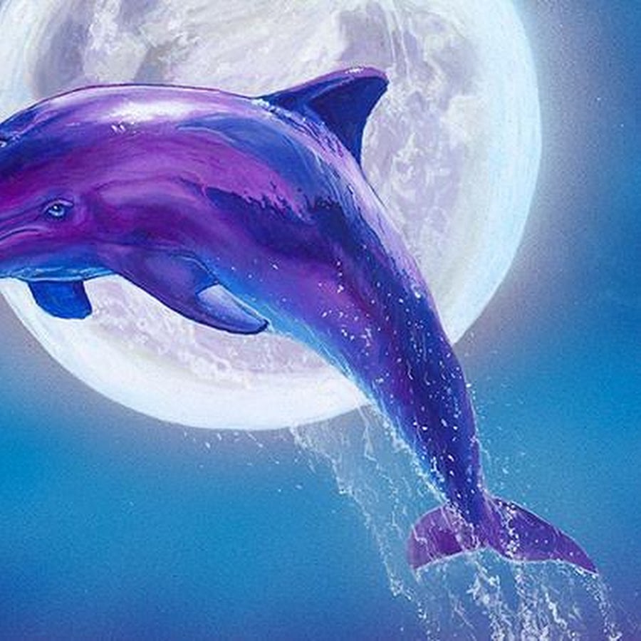 Дельфины арт милые