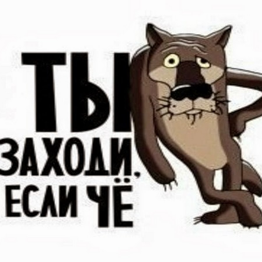 Ага заходи. Ты заходи если что. Ну ты это заходи если что. Заходи если че. Волк ты заходи если что.