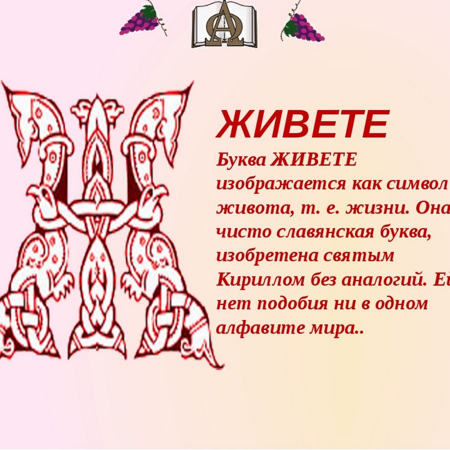 Живи букву. Буква живете. Старославянская буква ж. Буква ж в старославянском алфавите. Буква живете в Славянском.