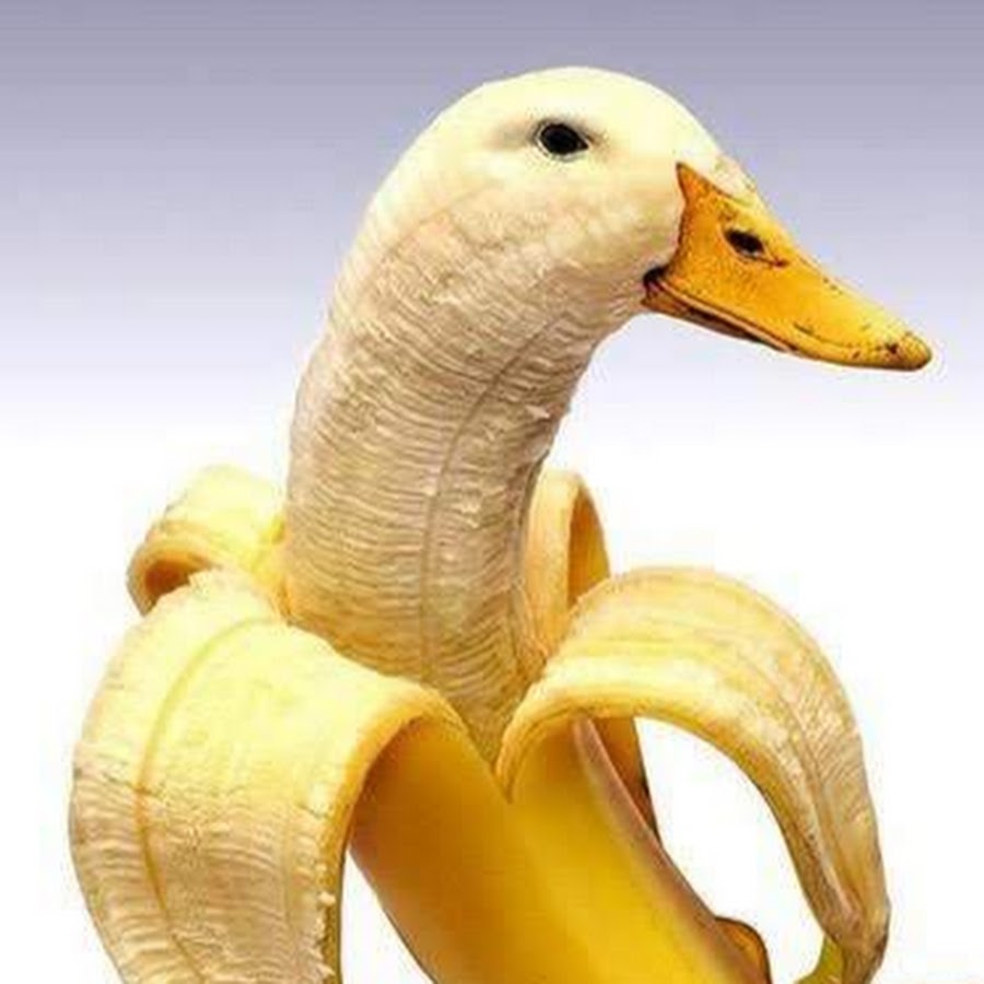 Гусь банан