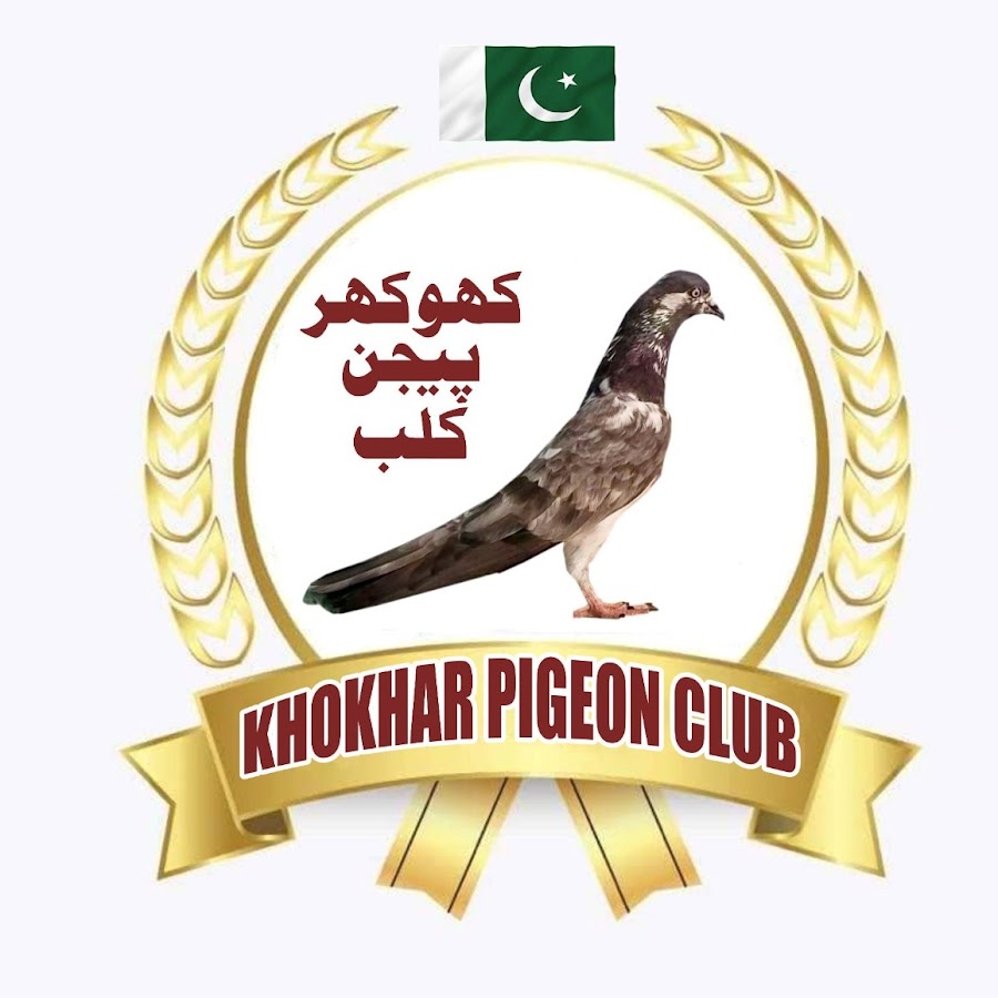 Khokhar Pigeons Club - YouTube