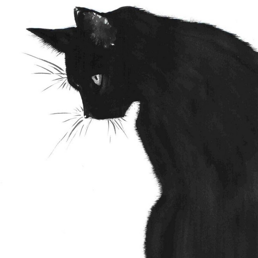 Кошка рисунок черно белый (39 фото)