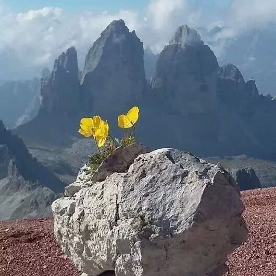 Кутман тан фото