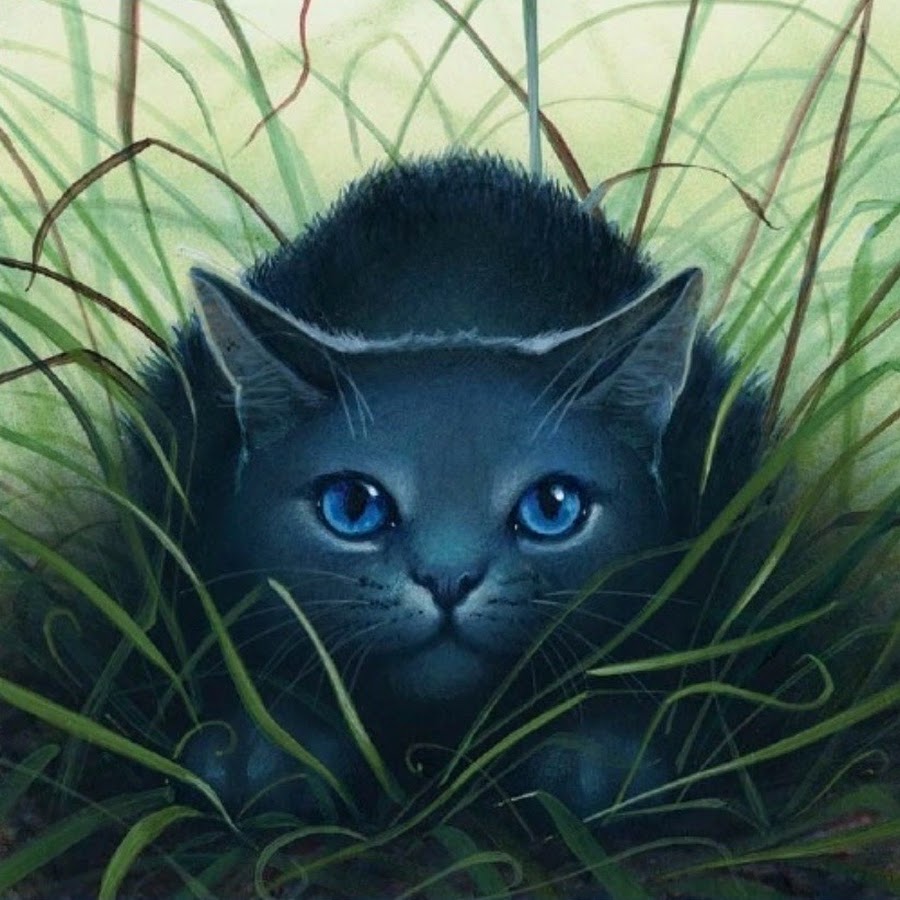 Аватарки синих котов