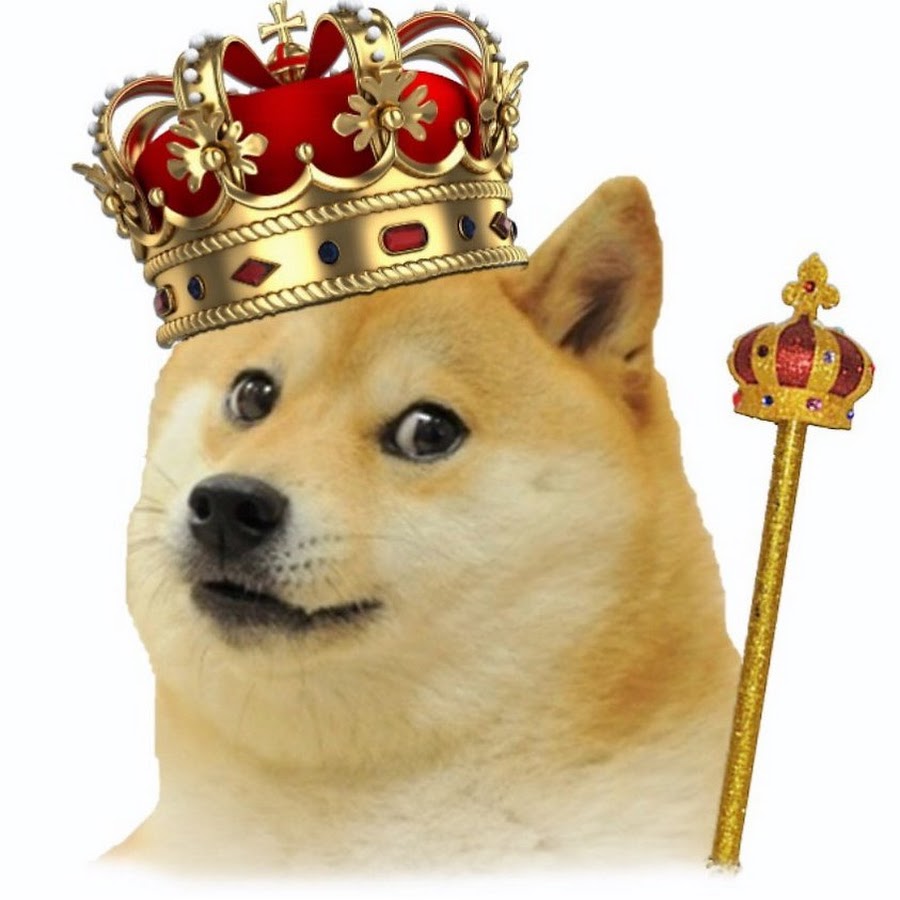 Doge Король