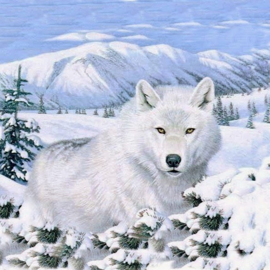 Белая волчица в зимнем лесу