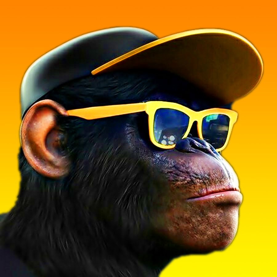 Monkey3. Крутая обезьяна. Обезьяна 3d. Обезьяна в очках. Обезьяна SWAG.