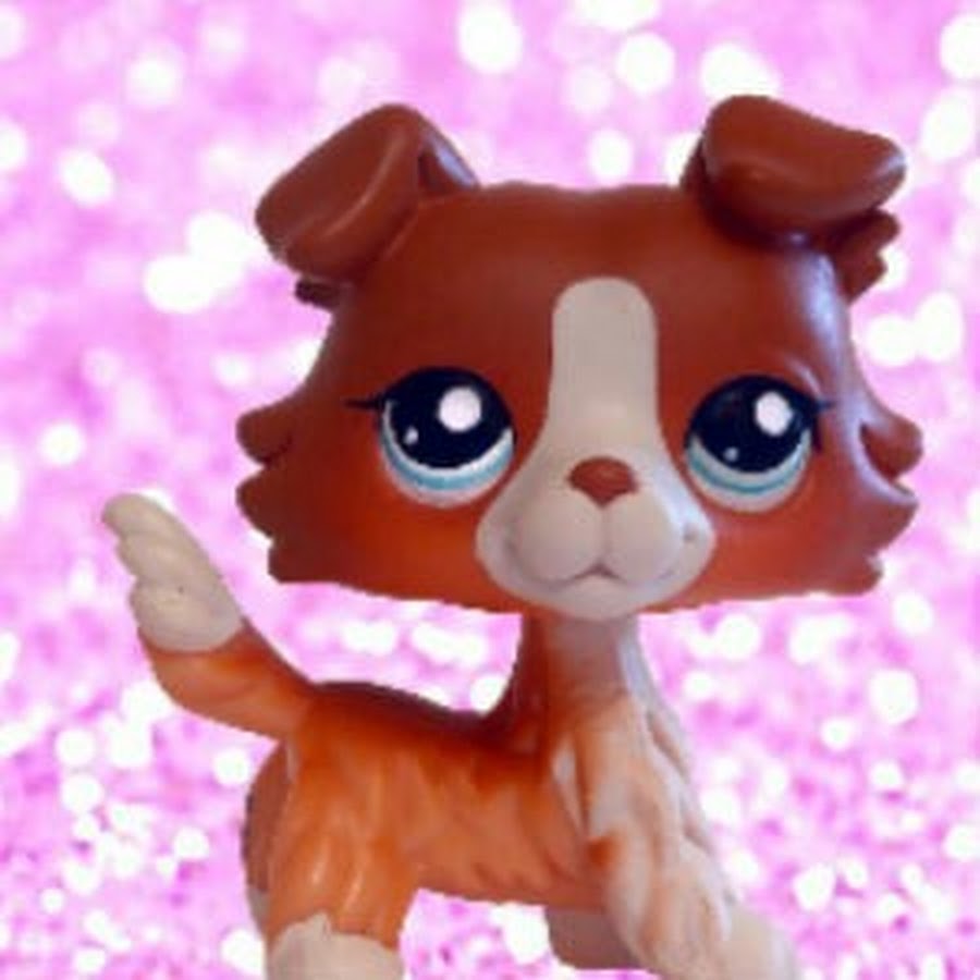 Петы собаки мальчики. Лпс коли. LPS колли. Лпс собаки колли. Littlest Pet shop колли.