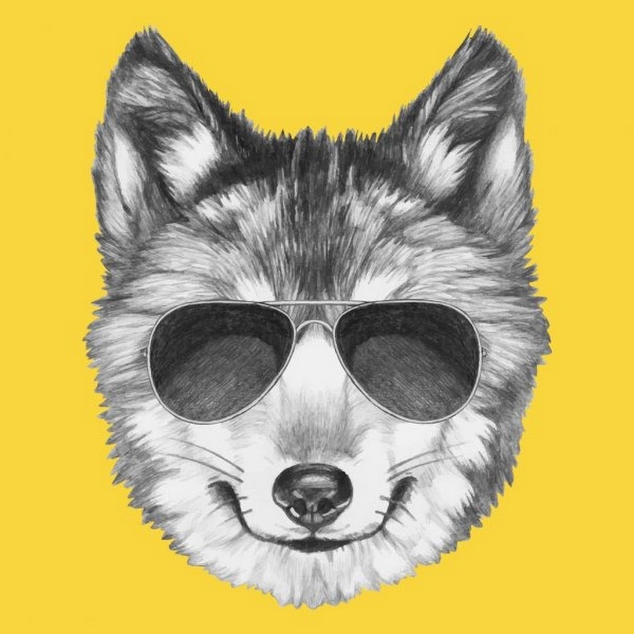 Волк в солнечных очках