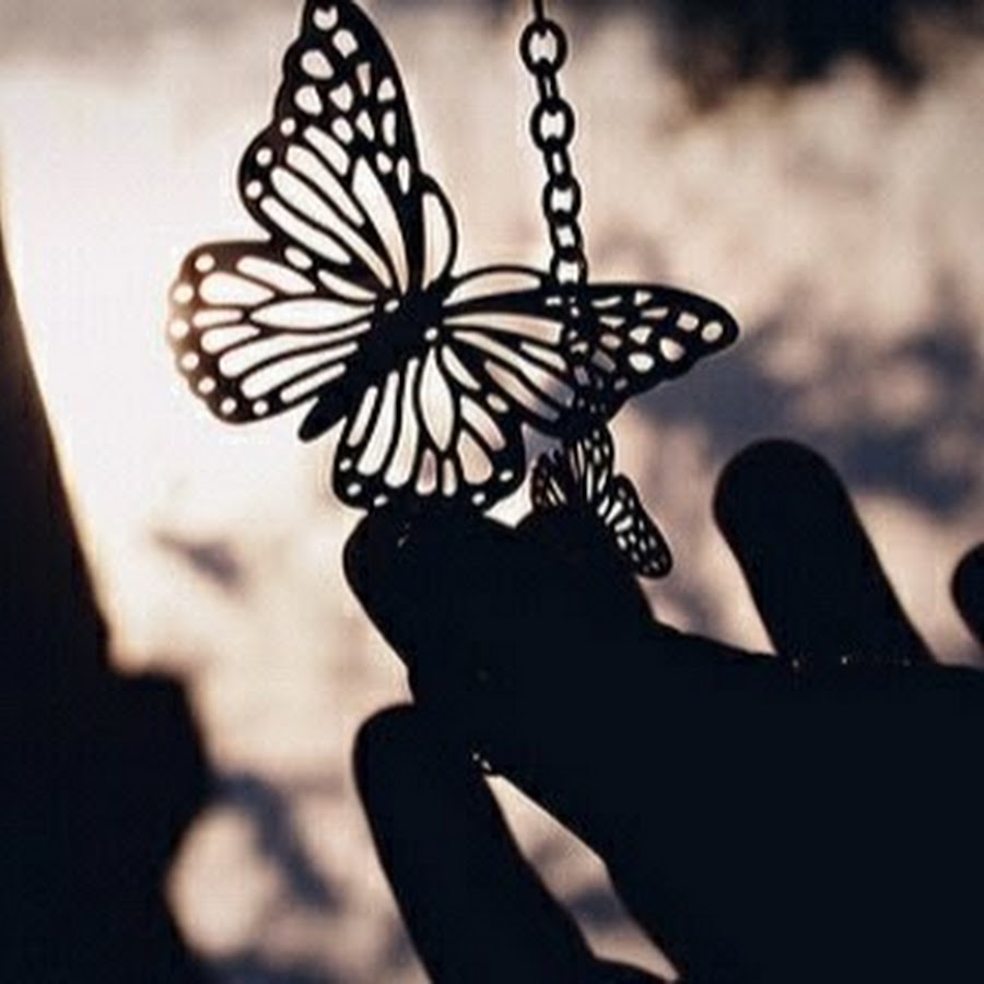 Тень девушки с бабочкой