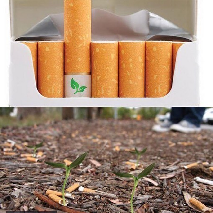 Сигаретный фильтр с растением