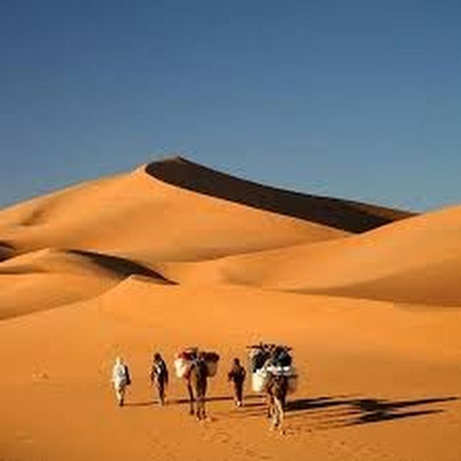 Du desert. Марокко дюны Верблюды. Марокко Барханы. Дюны Сахары Марокко. Пустыня сахара Оазис.