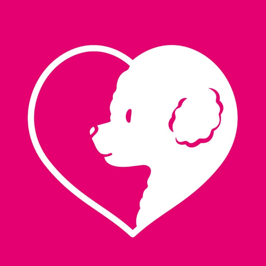 Profile avatar of LovelyGrooming