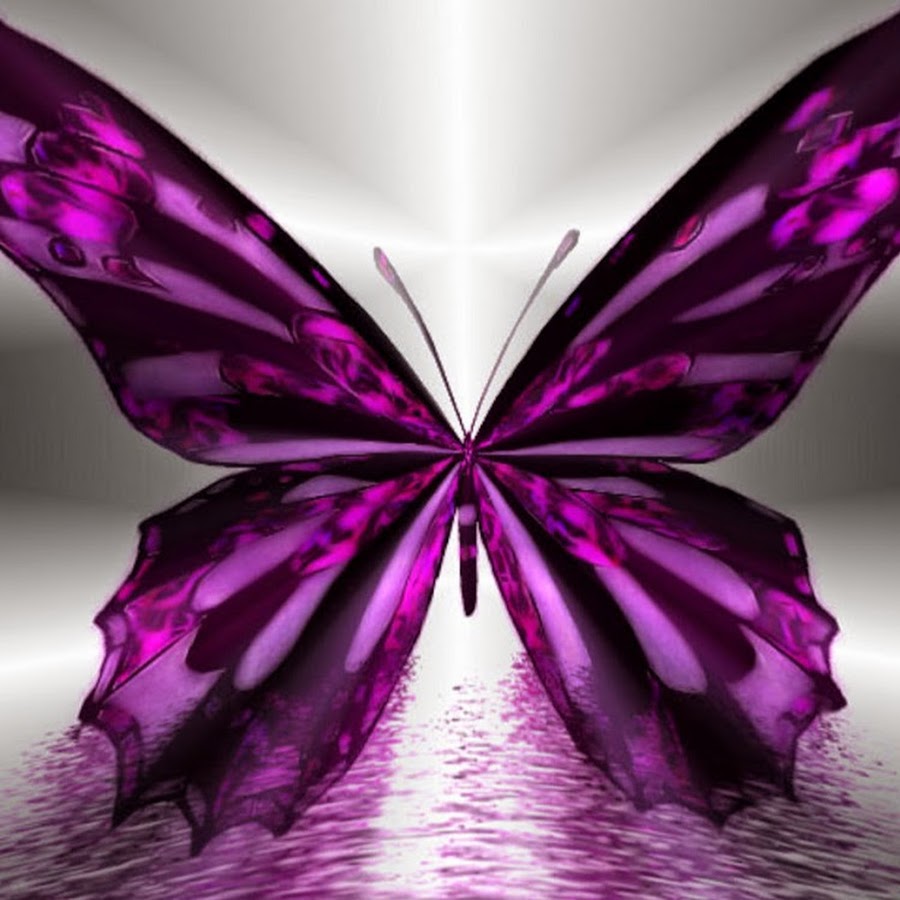 Фиолетовая Огненная бабочка