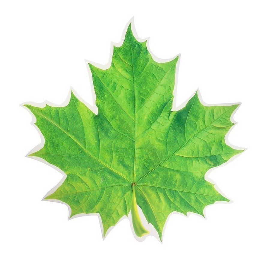 Фигура кленовый лист зеленый