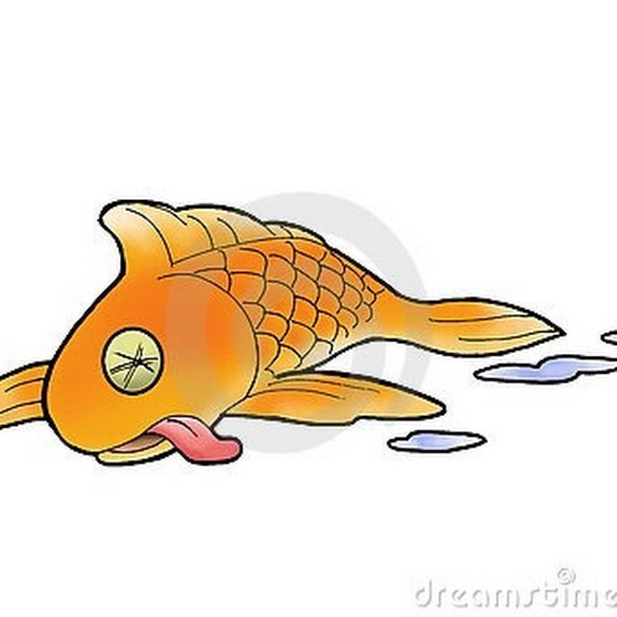 Мертвая рыба на белом фоне