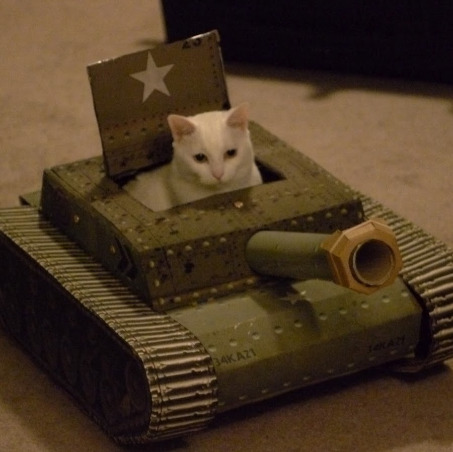 Кот танкист