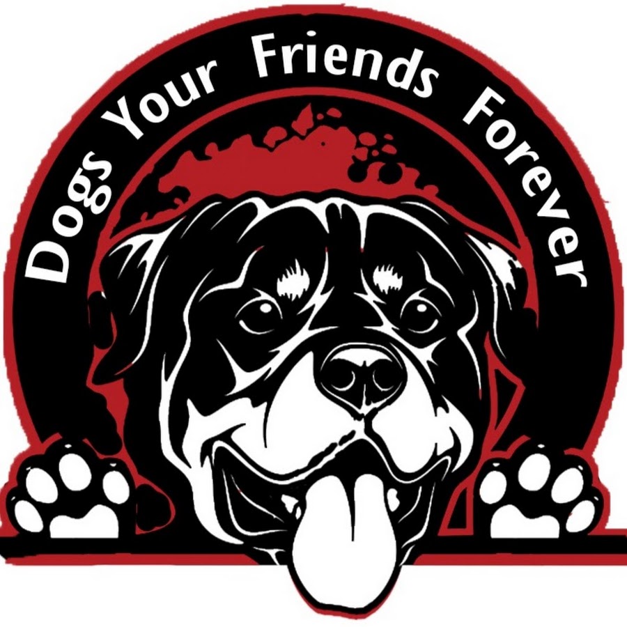 Dogs Your Friends Forever - YouTube