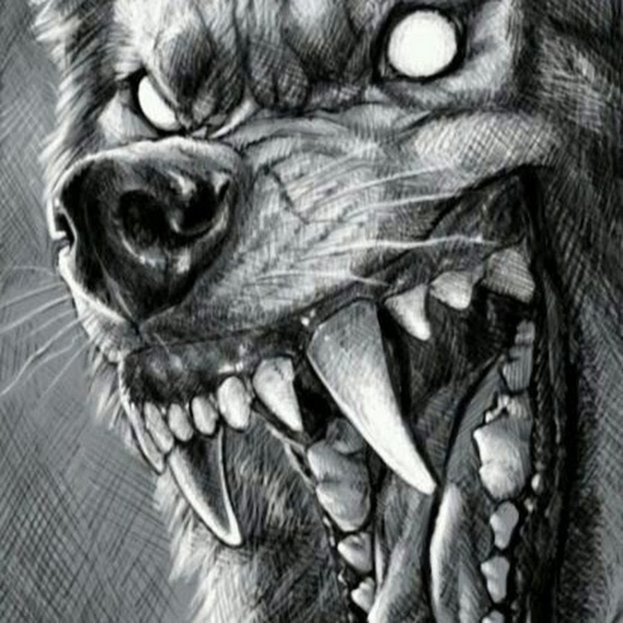 Эскизы татуировок волк с оскалом