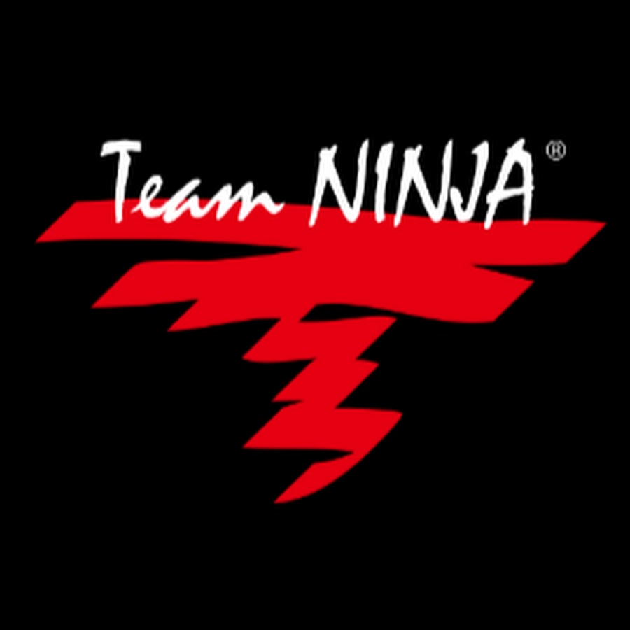 Tutustu 32+ imagen team ninja studio