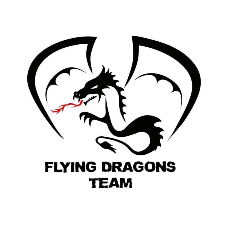 Дракончик тим. Black Dragon Team. Dragon Team. Картинки драгон Флай Райт. Team Dragon actress.