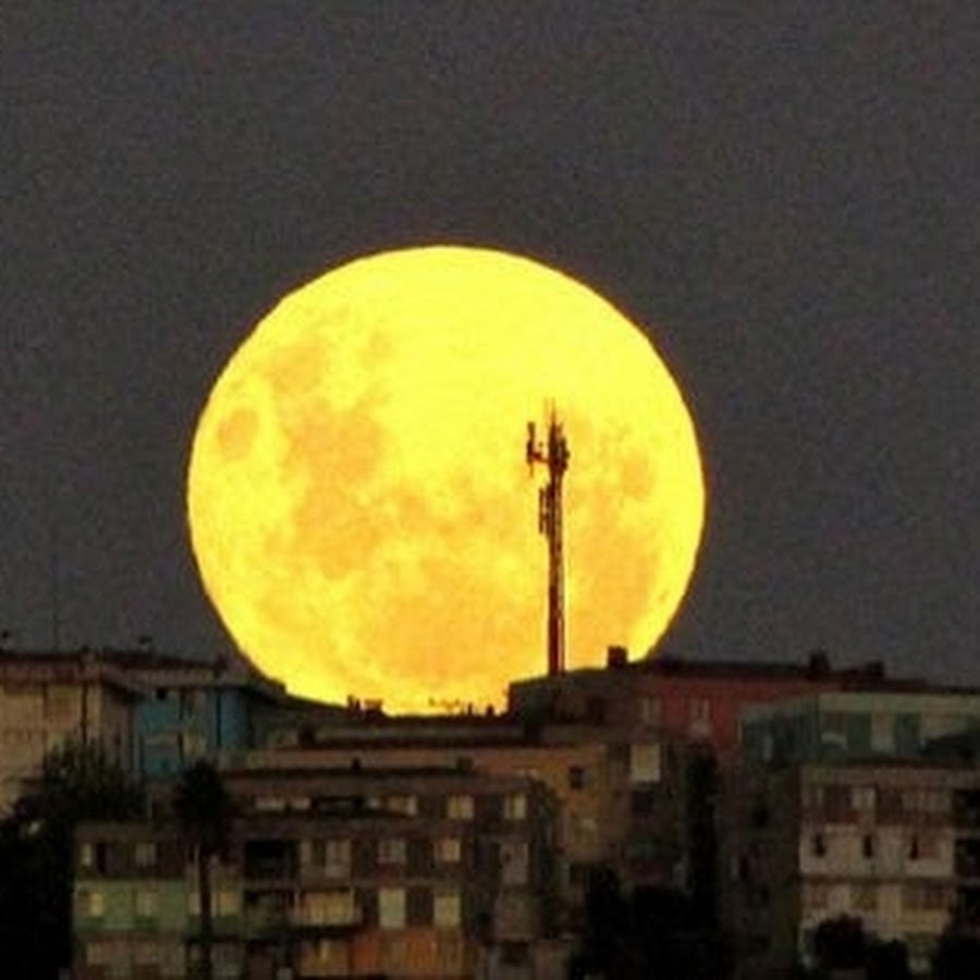 Самая сильная луна. Луна близко к земле. Огромная Луна с земли. Луна очень близко. Луна очень близко к земле.