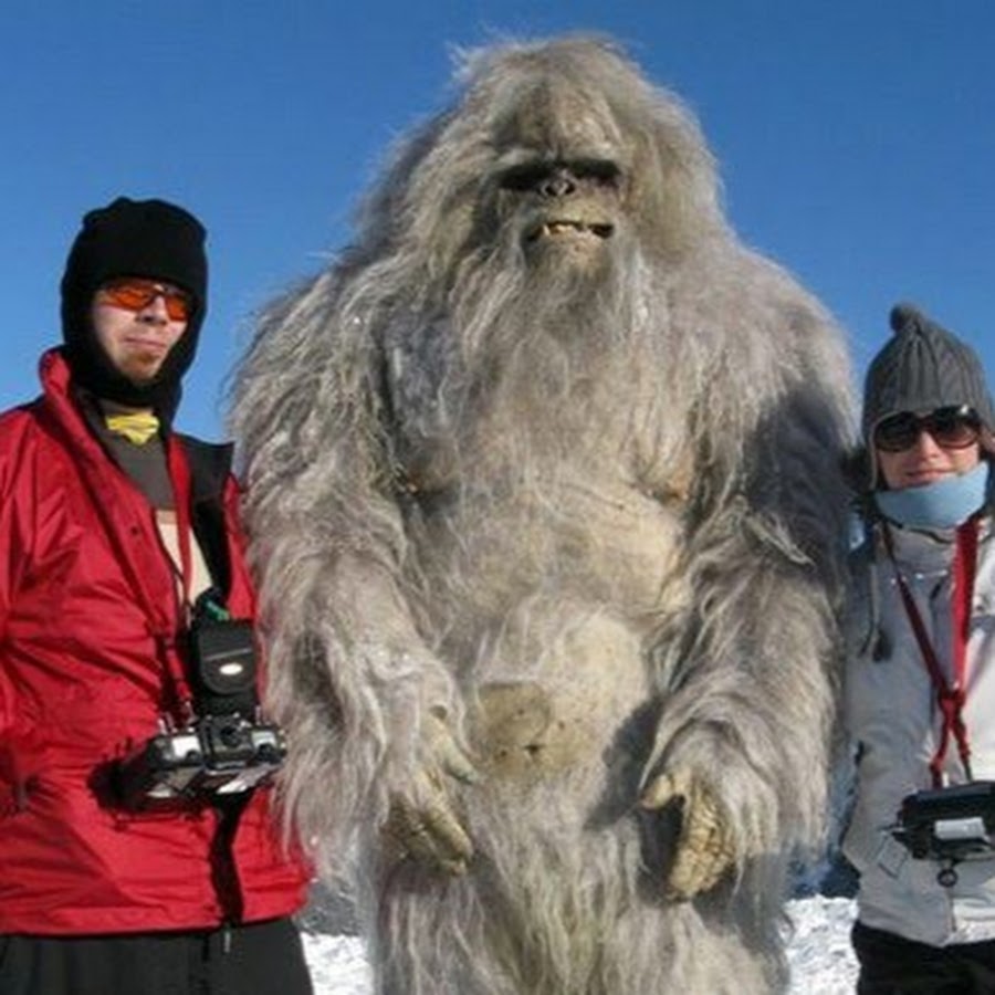 Включи снежного человека. Йети Bigfoot. Гималайский Йети.