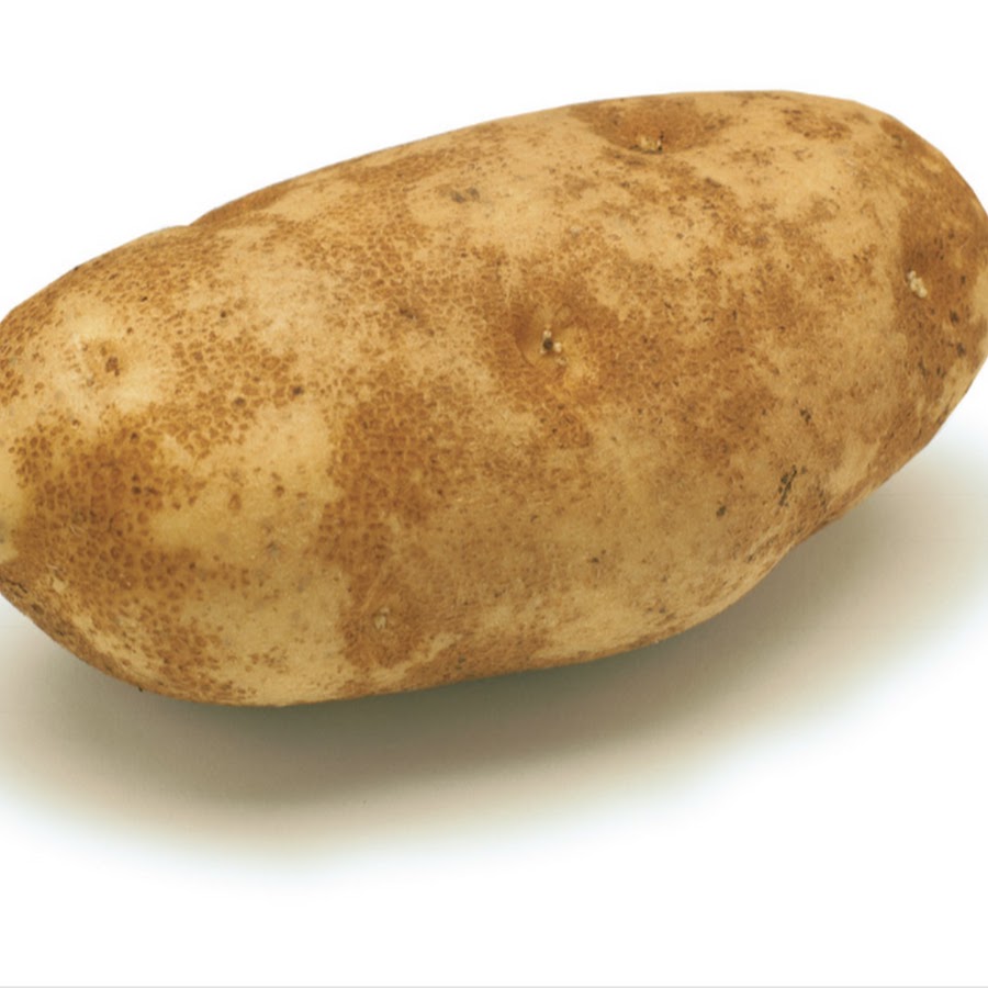 сорт картофеля ласунок характеристика отзывы фото