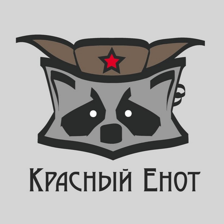 Енот в военной форме картинки