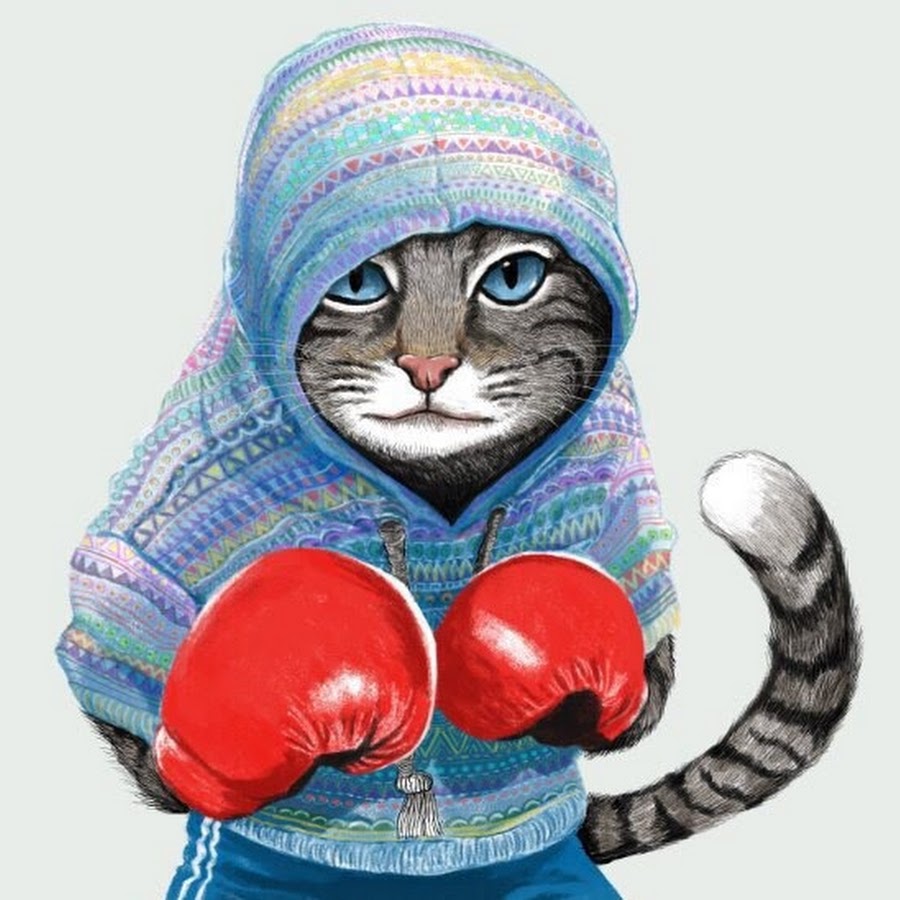 Кот в боксерских перчатках