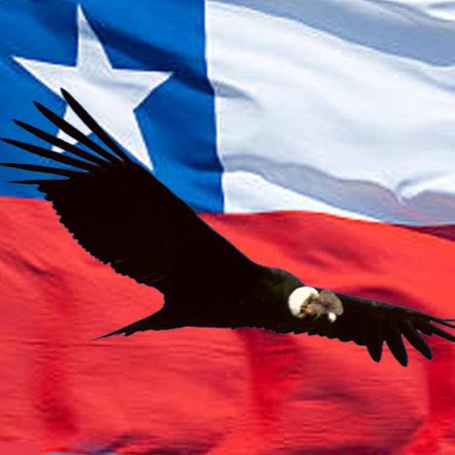 Viva Chile! @VivaChile