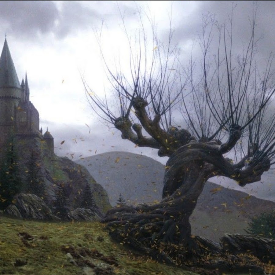 Whomping Willow Гарри Поттер