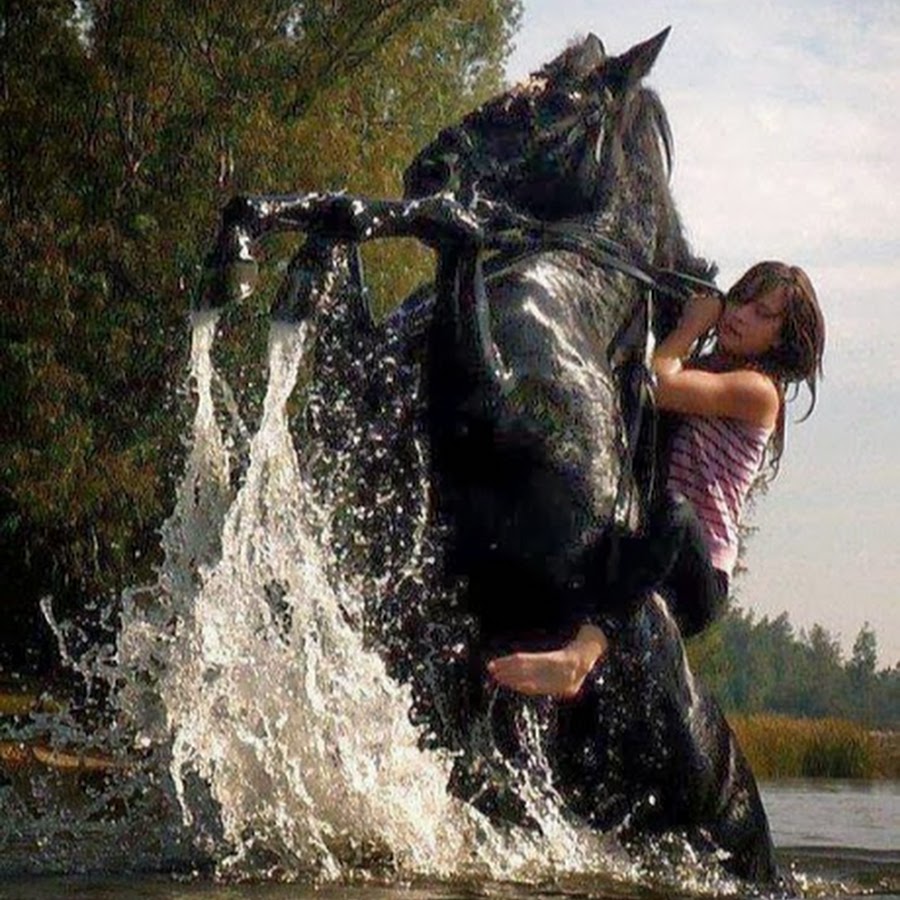 Фотосессия с лошадью в воде