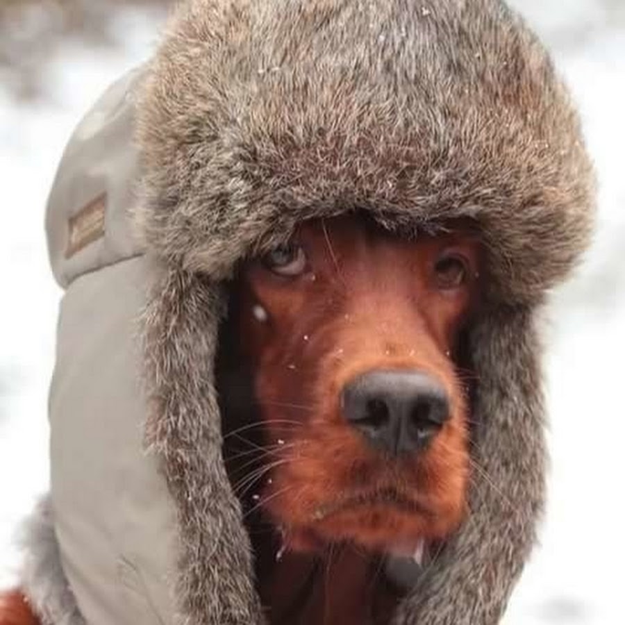 А что так холодно картинки